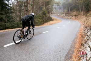 gallery Tratar Bikes, le bois slovène revisité