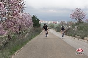 gallery PEdALED nouvelle collection printemps/été 2016