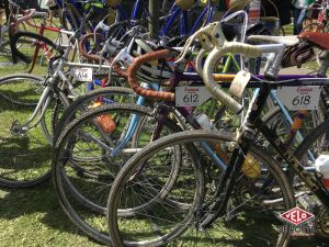 gallery Eroica Limburg : Le récit de l’aventure