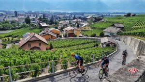 gallery Essai de longue durée : un vélo pour tout faire ?