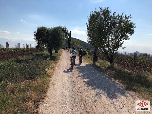 gallery Trek Domane SL et SLR, plus polyvalent que jamais