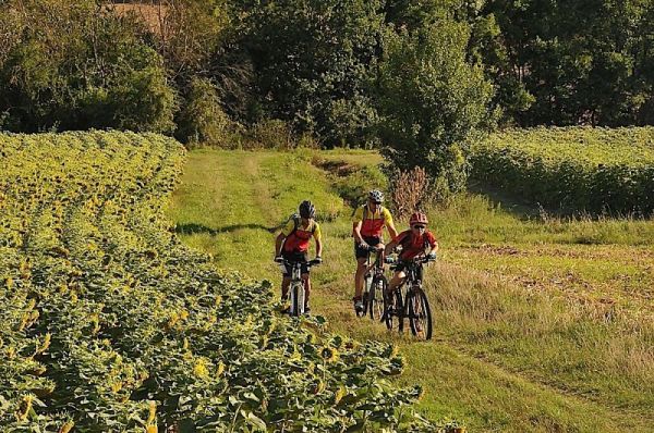 gallery Rendez-vous de la Fédération Française de Cyclotourisme, des reports et des annulations